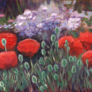 Poppies