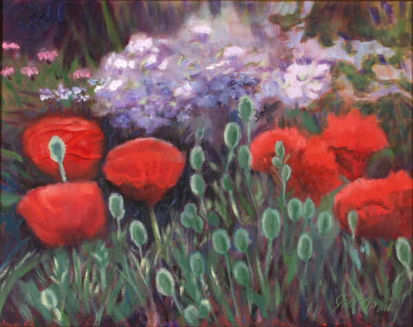 Poppies