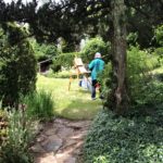 Secret Garden Painting Workshop 2022