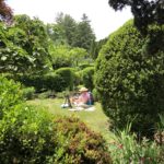 Secret Garden Painting Workshop 2022