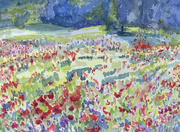 Poppy Fields Watercolor