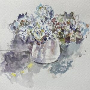 Still Life Hydrangea