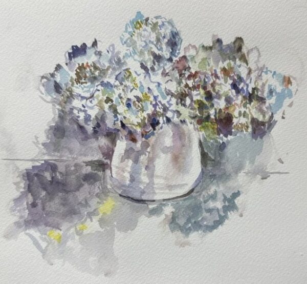 Still Life Hydrangea